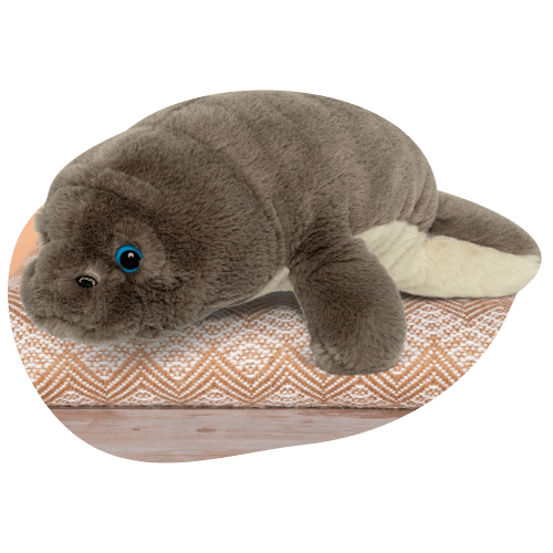 https://cdn.shopify.com/s/files/1/0023/6158/9871/files/Animal_Manatee_Angle_Styled_1.png?v=1733790617